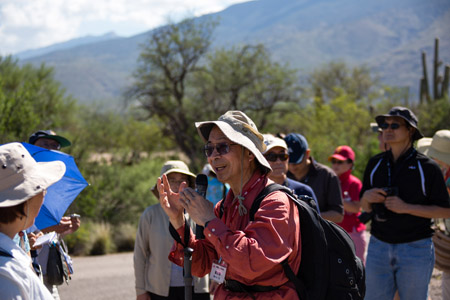 saguaro np east-2